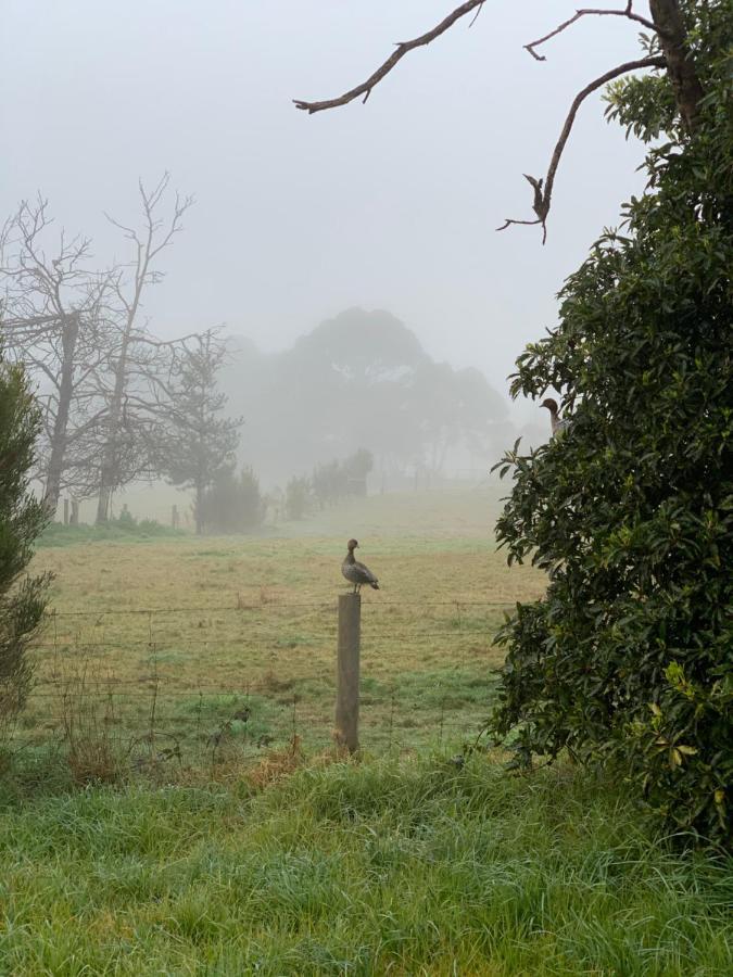 Willunga Cottage — Sweet Country Retreat Lyndhurst エクステリア 写真